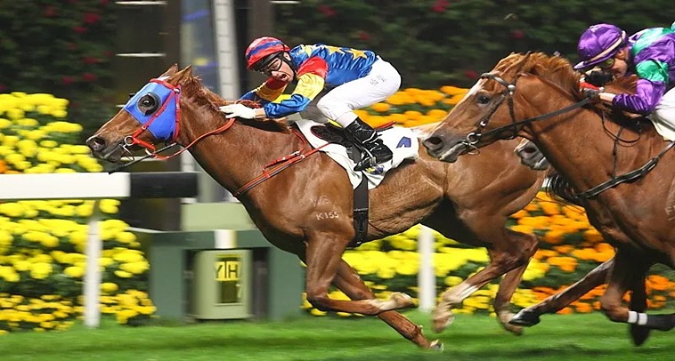 Tìm Hiểu Đua Ngựa i5BET: Bí Quyết Chiến Thắng 2 Tìm Hiểu Đua Ngựa i5BET: Bí Quyết Chiến Thắng