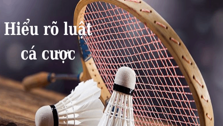 Cách Chơi Cá Cược Cầu Lông Tại i5BET: Hướng Dẫn Toàn Diện 1 Cách Chơi Cá Cược Cầu Lông Tại i5BET: Hướng Dẫn Toàn Diện